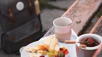 Chocolate fondue picnic on the Rigi