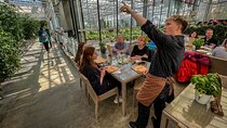Golden Circle and Lunch at Fridheimar Tomato Farm - with photos