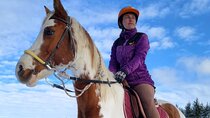 Horse Riding Day Trip in the Rila Mountain 