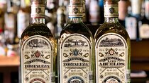 Tasting of Different Types of Tequila in San Miguel de Allende