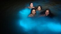  Falmouth Mystic from Montego Bay Luminous Lagoon Night Tour
