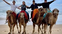 Full-Day Private Guided Tour in Tangier