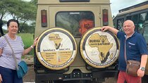 The Best 2-Days 1-night Tanzania Budget Group Joining Safari Tour