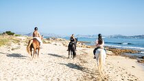 3-Hour Beach Horse Riding to Discover the Beauty of Alcudia Bay