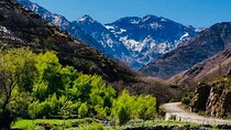 Excursion to the Ourika Valley and Berber villages 