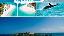 Samana Full Day -baracardi island, horses, lemon waterfall