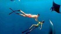 Nusa Penida Snorkeling and Uluwatu Sunset Tour with Dinner