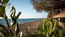 Ancient Olympia & Kourouta Beach - All Included Tour