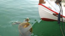 Private Argostoli Walking Experience