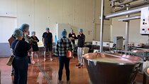 Food Valley: Parmesan, Prosciutto, Balsamic,Wine,Ferrari Day Tour