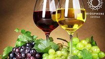 Skywalk, Madeira Wines Tasting and Vineyards 4x4 Experience