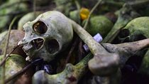 Private Tour to Trunyan Village "Skull Island of Bali" 