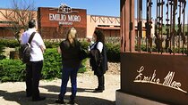 Premium Ribera del Duero tour with winemaker-guide