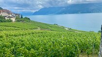 Zurich Private Tour - Gruyères, Cheese, and Lavaux's UNESCO Wine