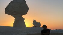 5 Days Egypt Oasis Private Adventure Package