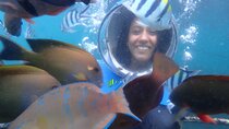 Half-Day Private Water Activities Adventure Package in Bali