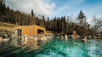 Cruise Tour Godafoss Turf Houses and Forest Baths Small Group