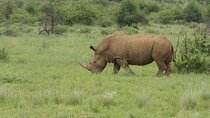 2 Days Mid Range Private Safari in Tarangire and Ngorongoro