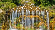 Caserta Private 8 hours Tour from Naples