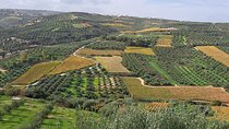 Wine Raki Olive Oil Tasting and Pottery - Private Tour 