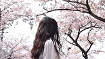 2025 Cherry Blossom East Day Tour in Jeju with UNESCO