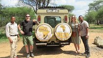 Affordable 4 Days Tanzania Private Mid-range Lodge Safari Tour