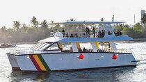 Mirissa Whale watching tour from Colombo/Negombo with Breakfast
