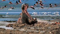Day Tour to Lake Nakuru with optional boat ride in Lake Naivasha