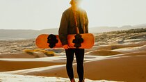 UTV Dune Cruise and Surf at Coral Pink Sand Dunes