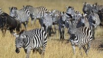 Group Joining Overnight safari to Amboseli