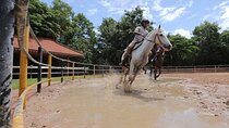 Siem Reap Happy Horse Riding