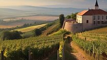 Nice Vinous Day Private Tour from Budapest to Eger and Tokaj