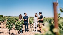 Spanish Villages & Winery Visit with Wine Tasting and Tapas Lunch