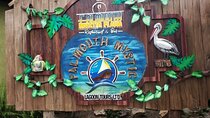 Private Luminous Lagoon Tour from Montego bay 