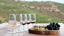 Small Group Local Wine Tasting Tour In Santorini 