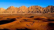 Morning Desert Safari with Honey Bee Garden