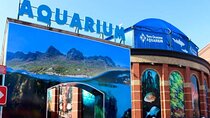 Robben Island Guided Tour & Two Ocean Aquarium with tickets 