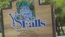 Private YS Falls and Black River Safari from Montego Bay
