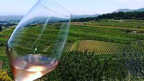 Grand Wine Tour from Catania or Taormina 