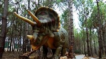 Dinosaurs Park - Family Half day tour