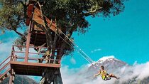 Private Tour Route of the waterfalls and tree house
