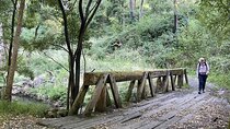 Daylesford Goldfields Track Walking and Wellness Experience