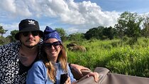 Sigiriya & Minneriya Safari Tour from Wadduwa 