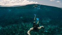 Dubai: Scuba Diving Adventure