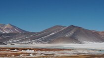 Day Tour to Piedras Rojas and Altiplanic and Chaxa Lagoons