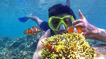 Bali : Blue Lagoon Snorkeling - All inclusive