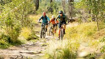Prague Mountain Biking: Blast Through The Best Singletracks