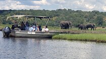A Chobe Full Day Tour - Botwana 