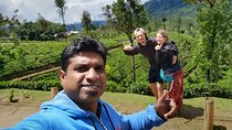 Private 10 Days Sri Lanka Tour