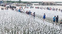 Heritage Tour with 10,000 Roses via CCLEX